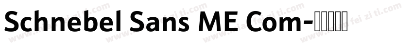 Schnebel Sans ME Com字体转换